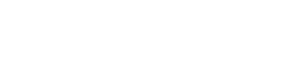 Homixs